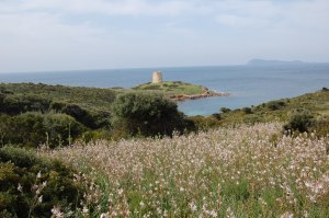 Sardegna, costa meridionale