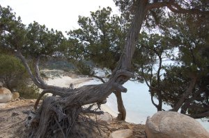 Villasimius, Porto sa Ruxi