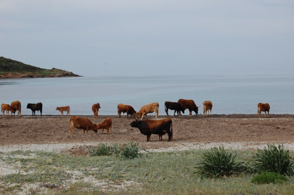 Domus de Maria, Piscinnì, spiaggia