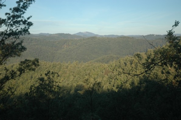 Appennino, boschi dell'Umbria