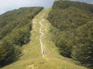 Toscana, Lavane, "ferita" determinata dal passaggio del metanodotto (30 anni dopo) Toscana, Lavane, "ferita" determinata dal passaggio del metanodotto (30 anni dopo)
