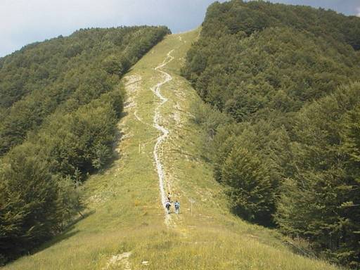 Toscana, Lavane, "ferita" determinata dal passaggio del metanodotto (30 anni dopo)