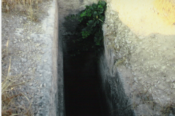 Cagliari, Tuvixeddu, tomba punica con disco rosso