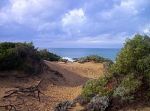 San Vincenzo, dune di&nbsp;Rimigliano