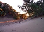 San Vincenzo, dune di&nbsp;Rimigliano