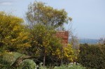 Cala Giunco, vecchio cartello&nbsp;arruginito
