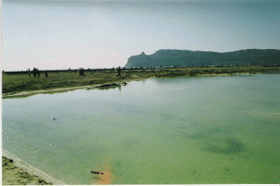 Cagliari, Poetto, ripascimento