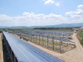 Sardegna, serre fotovoltaiche