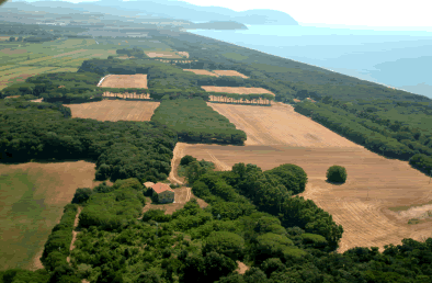 San Vincenzo, Tenuta di Rimigliano