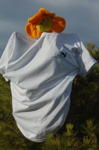 Pina de Pinis indossa la maglietta del GrIG