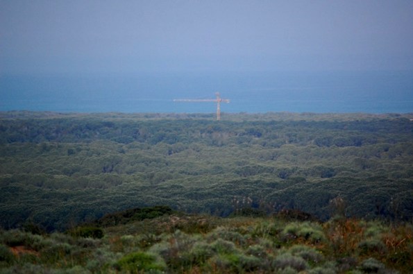 Narbolia, pineta costiera di Is Arenas e gru