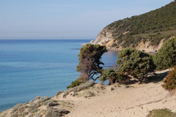 Sardegna, dune e ginepri sul mare