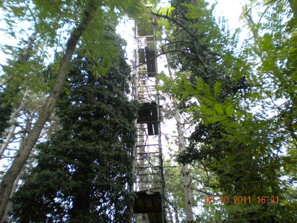 altana di caccia nel Vicentino