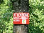 cartello "attenzione battuta al cinghiale in corso"