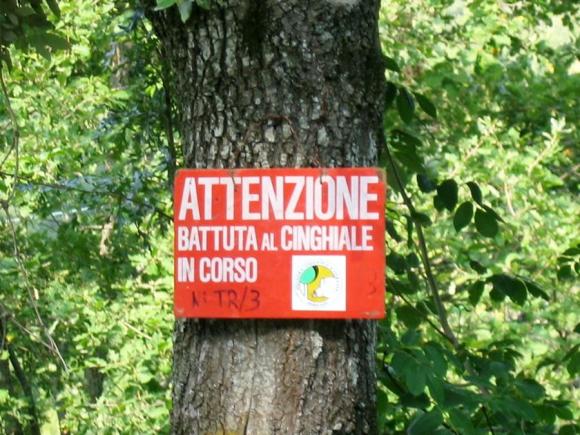 cartello "attenzione battuta al cinghiale in corso"