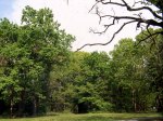 Trino Vercellese, Bosco delle&nbsp;Sorti