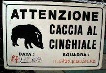 cartello "attenzione - caccia al cinghiale"