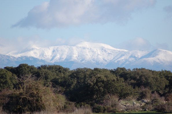 il massiccio del Gennargentu innevato visto dalla Giara