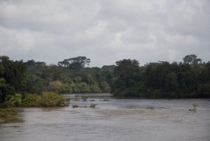 Liberia, foresta di Gobar