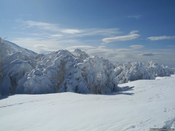 Marche, Monte Catria innevato 
