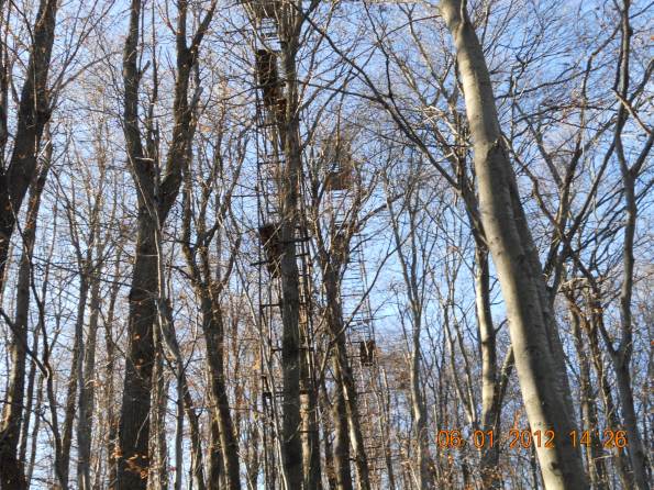 Schio, Monte Magrè, altane di caccia nel bosco