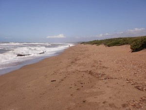 Toscana, spiaggia e macchia mediterranea