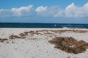 Cabras, spiaggia di Is Aruttas