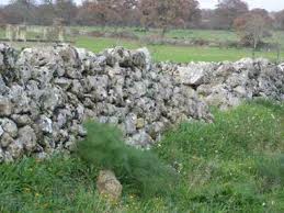 Sardegna, muretto a secco, recinzione tipica dopo l'editto delle chiudende (1820-1823)