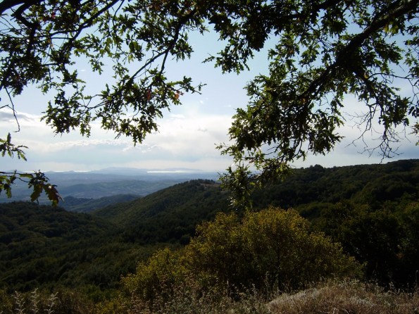 Monte Amiata, boschi