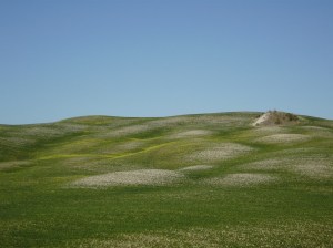 Castell'Azzara, colline