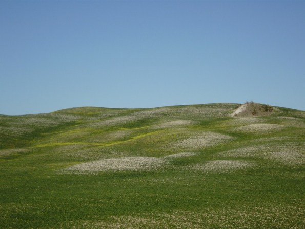 Castell'Azzara, colline