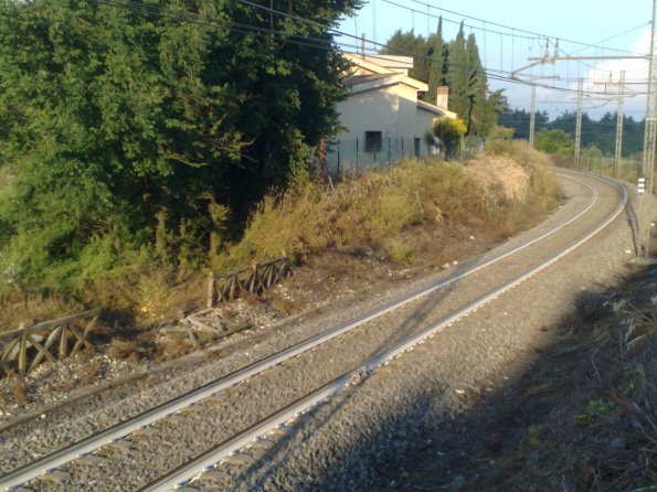 Morlupo, effetti del diserbante lungo la linea ferroviaria, presso abitazioni