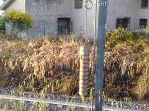 Morlupo, effetti del diserbante lungo la ferrovia, presso abitazioni