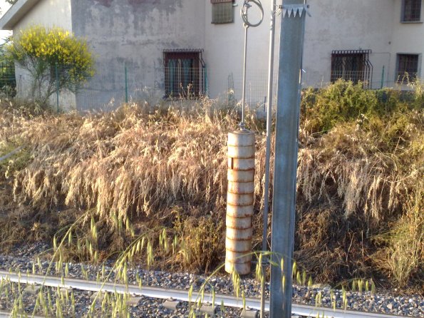 Morlupo, effetti del diserbante lungo la ferrovia, presso abitazioni