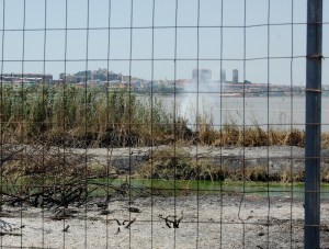 Cagliari, Molentargius, il fuoco riprende nel canneto