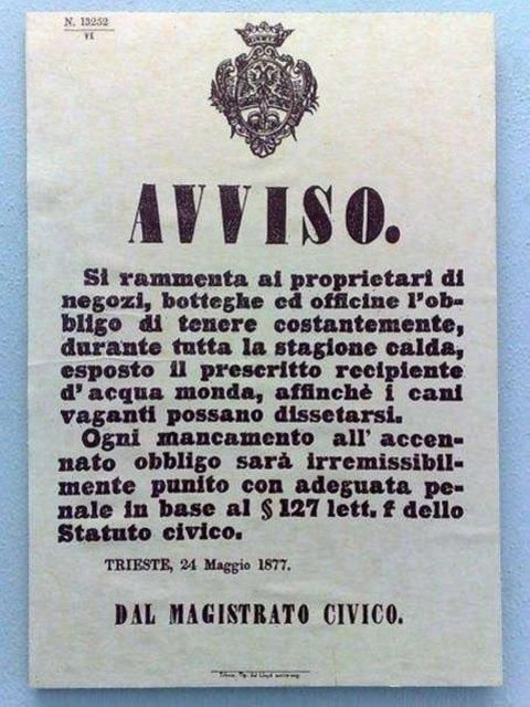 Comune di Trieste, avviso ciotole acqua per cani (1877)