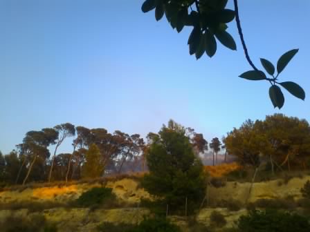 Cagliari, Monte Urpinu, incendio (20 agosto 2012)