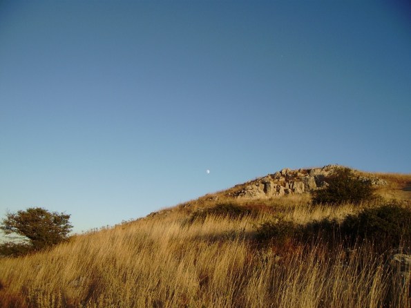 l'albero, la collina e la luna