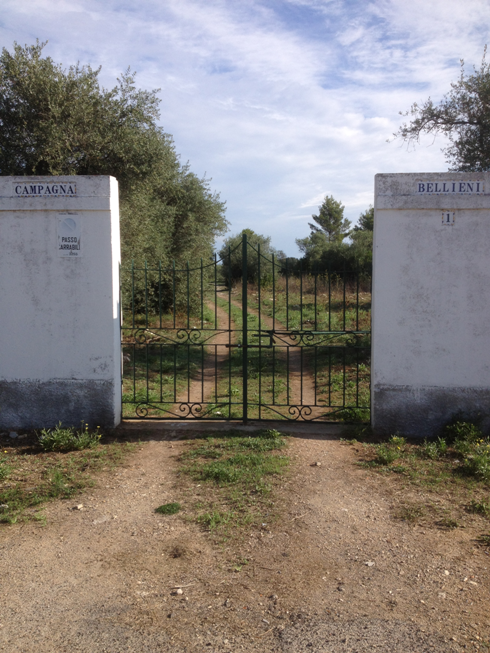 Sassari, "Campagna Bellieni"