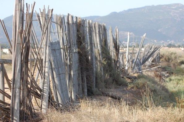 Cagliari, Stagno di Capoterra, Progetto Gilia, percorso naturalistico, protezione in canne semi-divelta