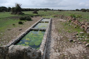 Giara, Mitza Salamessi