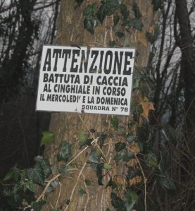 cartello "battuta di caccia al cinghiale in corso"