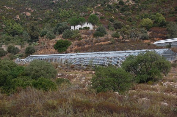 Capoterra, Rio S. Girolamo, serre travolte dalle alluvioni (1999, 2008)