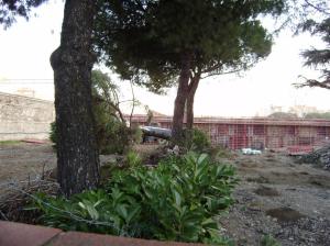 Firenze, Due Macelli, taglio degli alberi per l'alta velocità (genn. 2010)