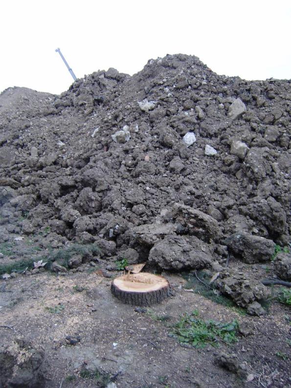 Firenze, Due Macelli, taglio degli alberi e primi scavi (marzo 2010)