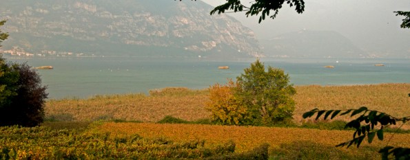 Lago d'Iseo, capanni di caccia davanti alla Riserva naturale orientata regionale “Torbiere del Sebino”