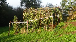 Arzignano, capanno di caccia sottoposto a sequestro penale