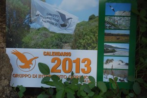 calendario GrIG 2013