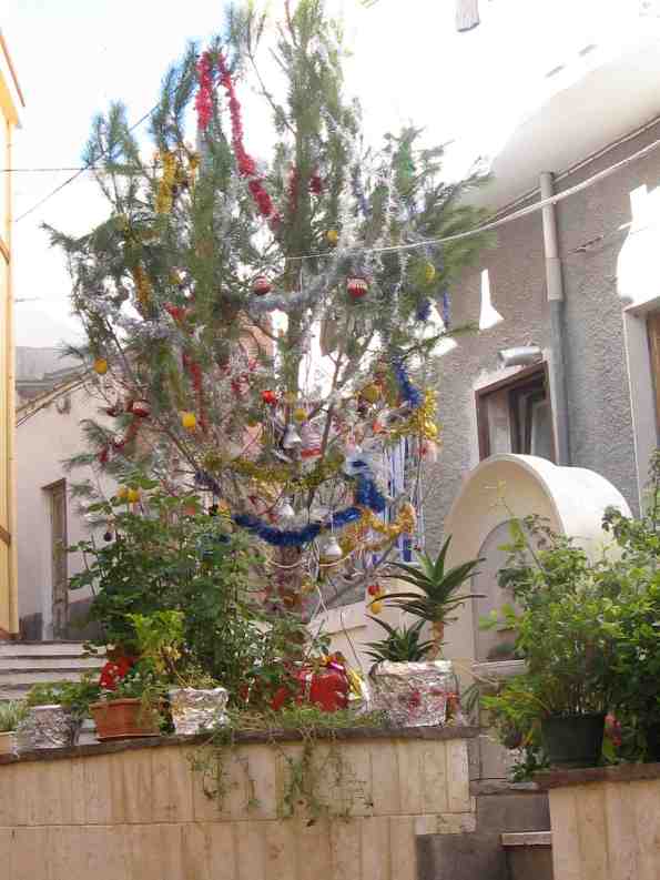 Carloforte, albero di Natale "tagliato" (2012)