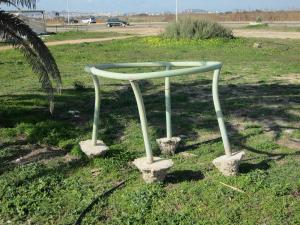 Poetto, sorta di animale preistorico